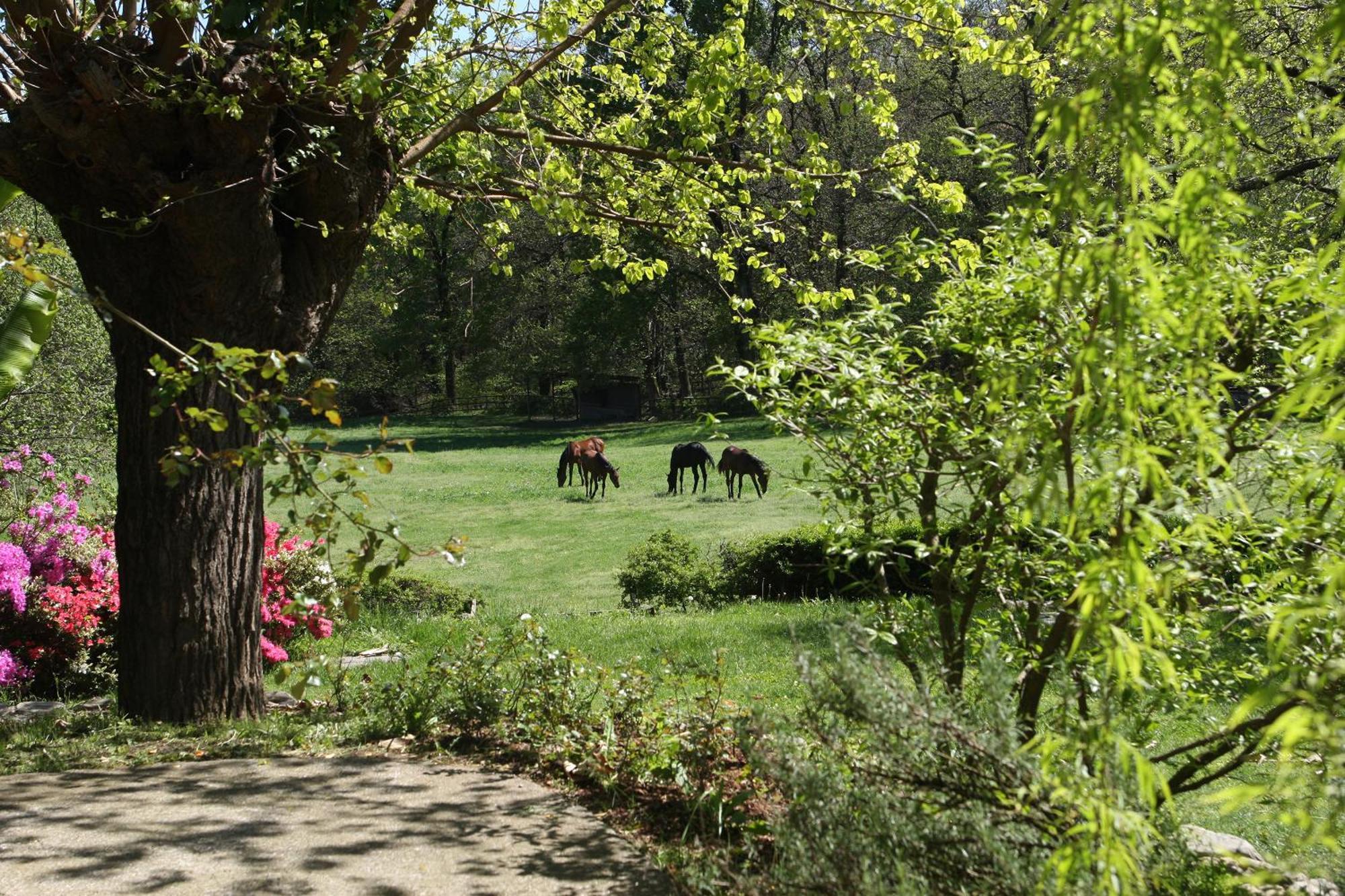 La Cucchetta Bed & Breakfast Dormelletto Bagian luar foto