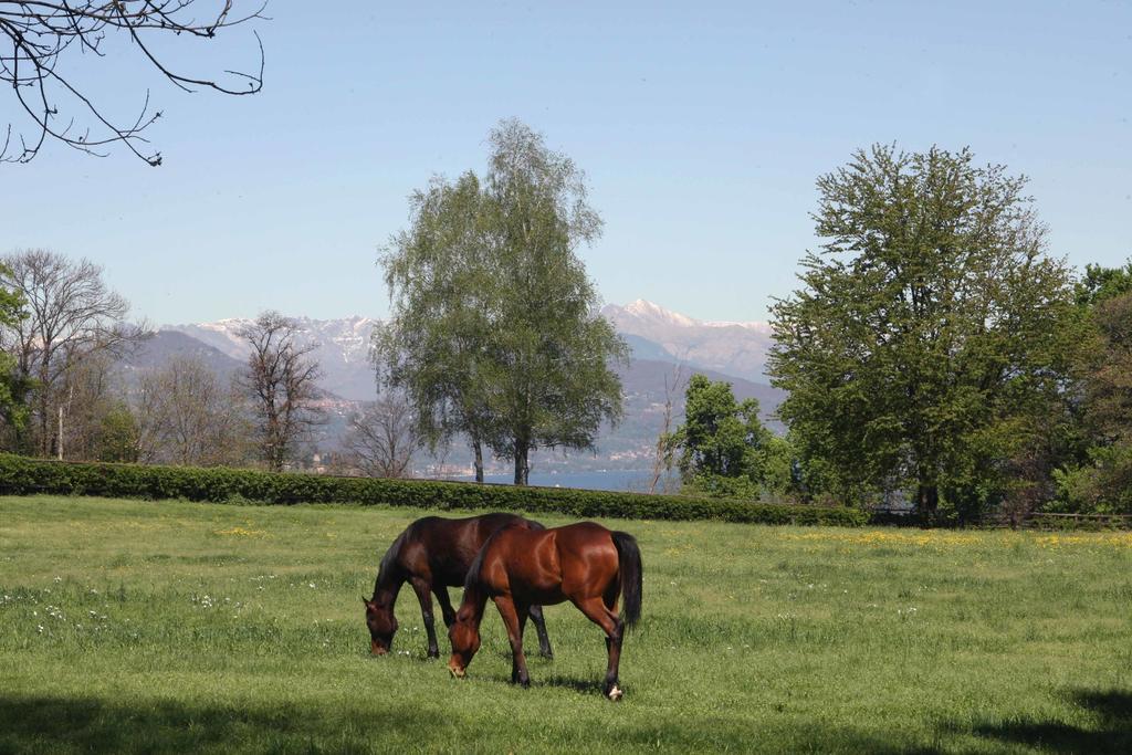 La Cucchetta Bed & Breakfast Dormelletto Bagian luar foto